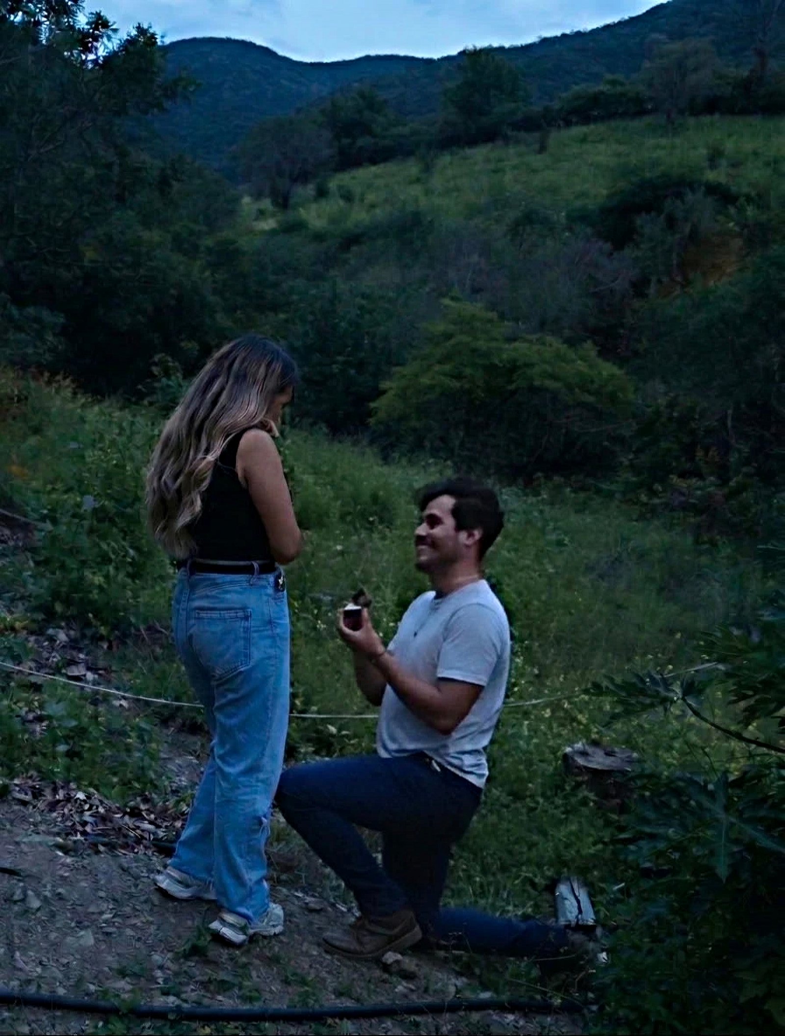 Amor